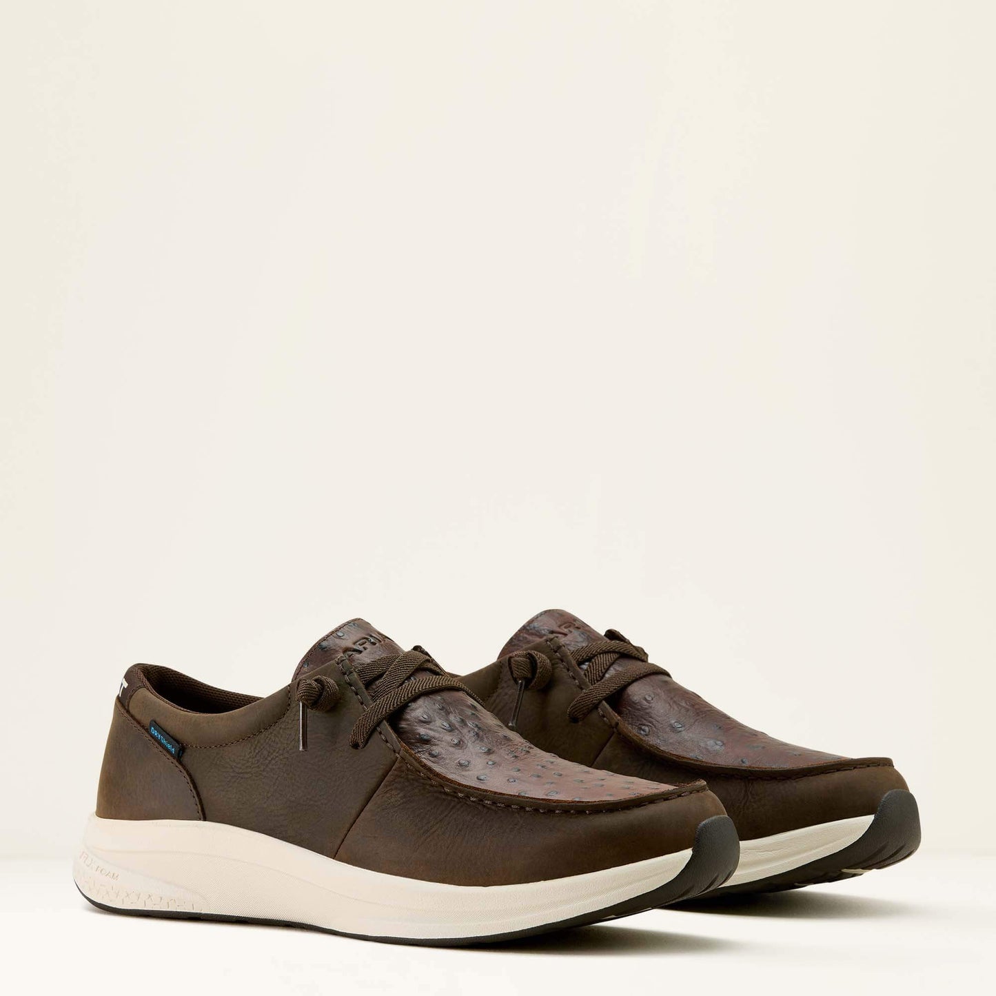 Ariat Website Store - Buckeye Waterproof Shoe