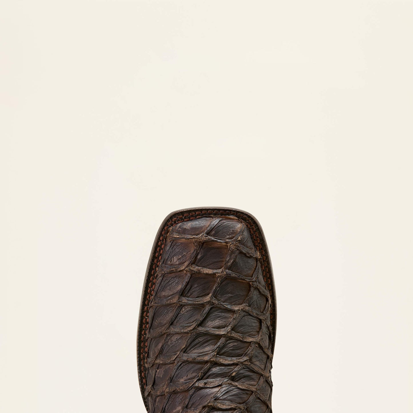 Ariat Outlet - Ashwood Wide Square Toe Cowboy Boot