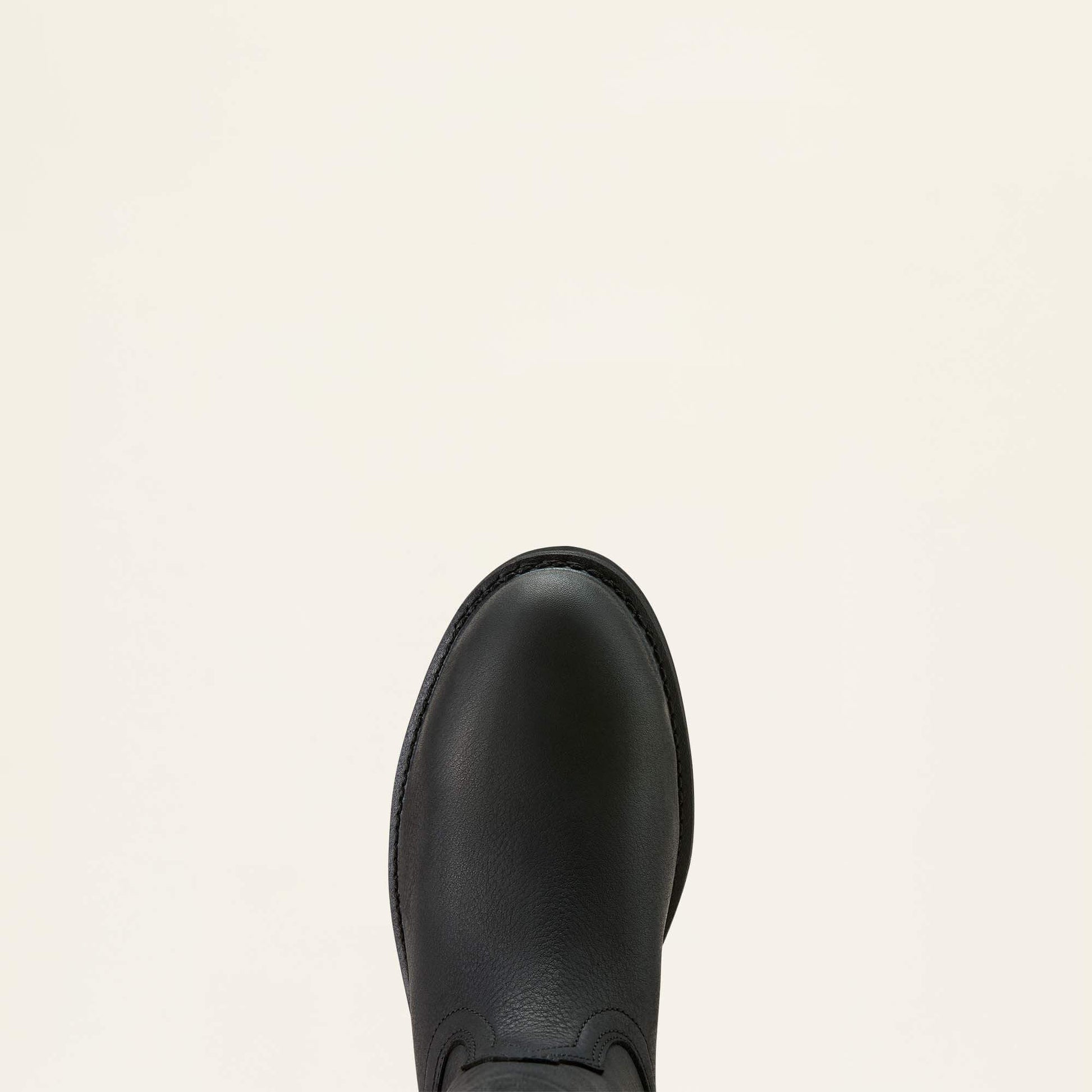 Ariat Online - Sierra Waterproof Roper Toe Steel Toe Work Boot