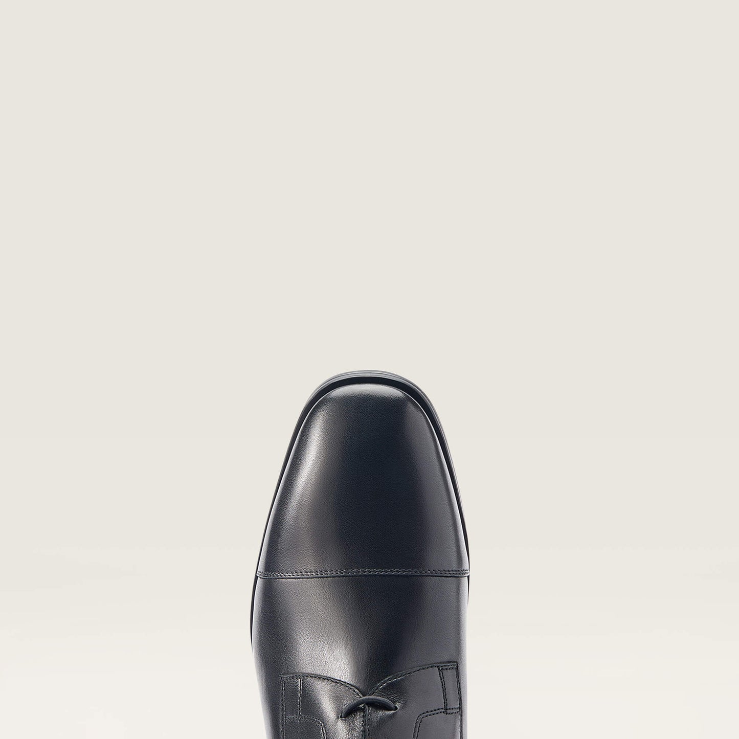 Ariat Sale - Ravello Tall Riding Boot