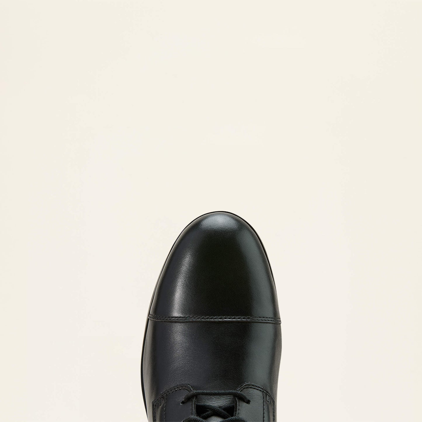 Ariat Outlet - Heritage Lace Paddock Boot
