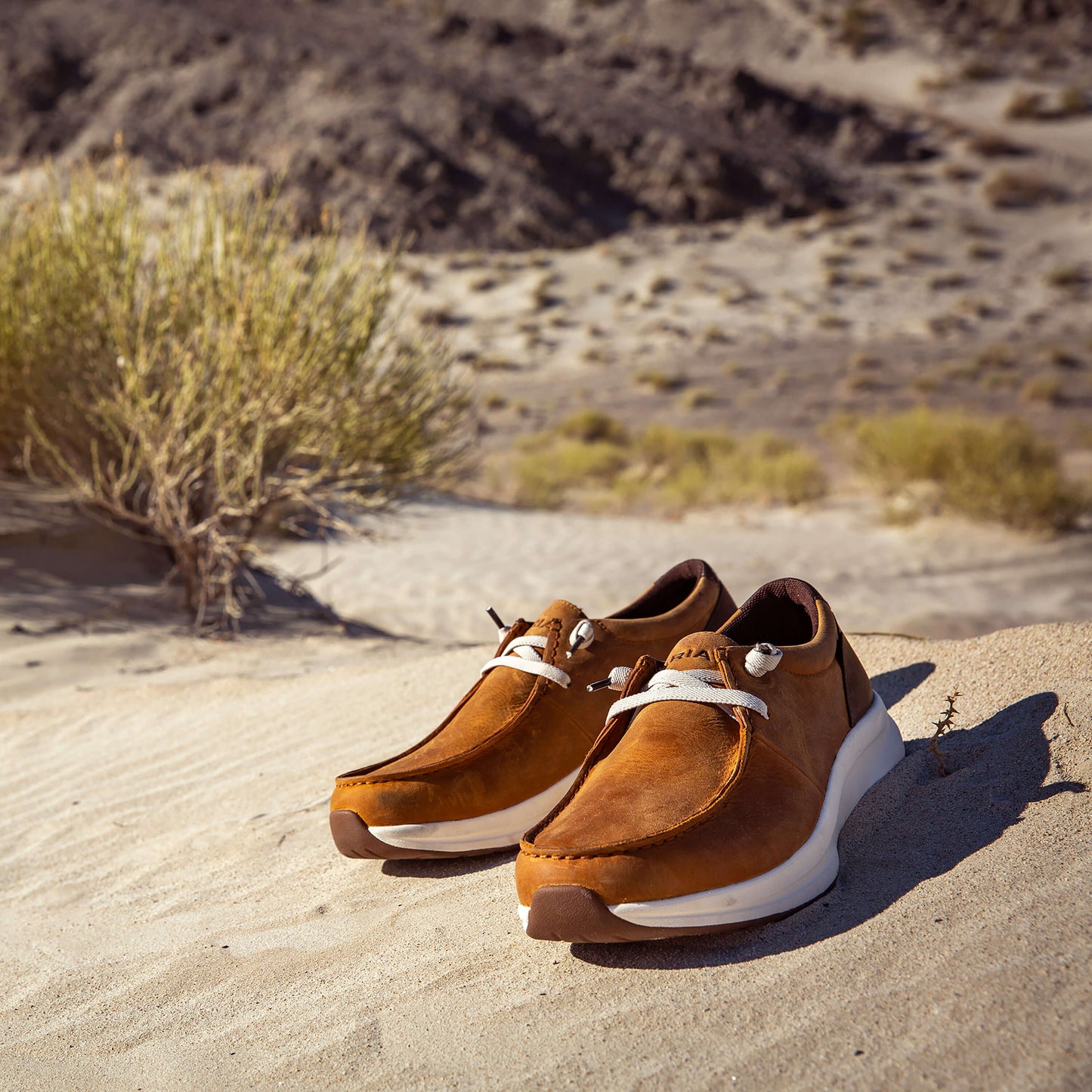 Ariat Online Shop - Buckeye Waterproof Shoe