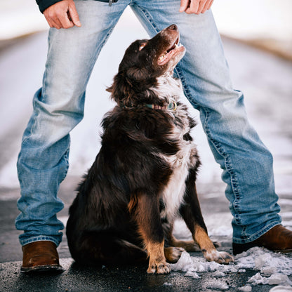 Ariat Outlet - M2 Relaxed Stirling Stretch Boot Cut Jean