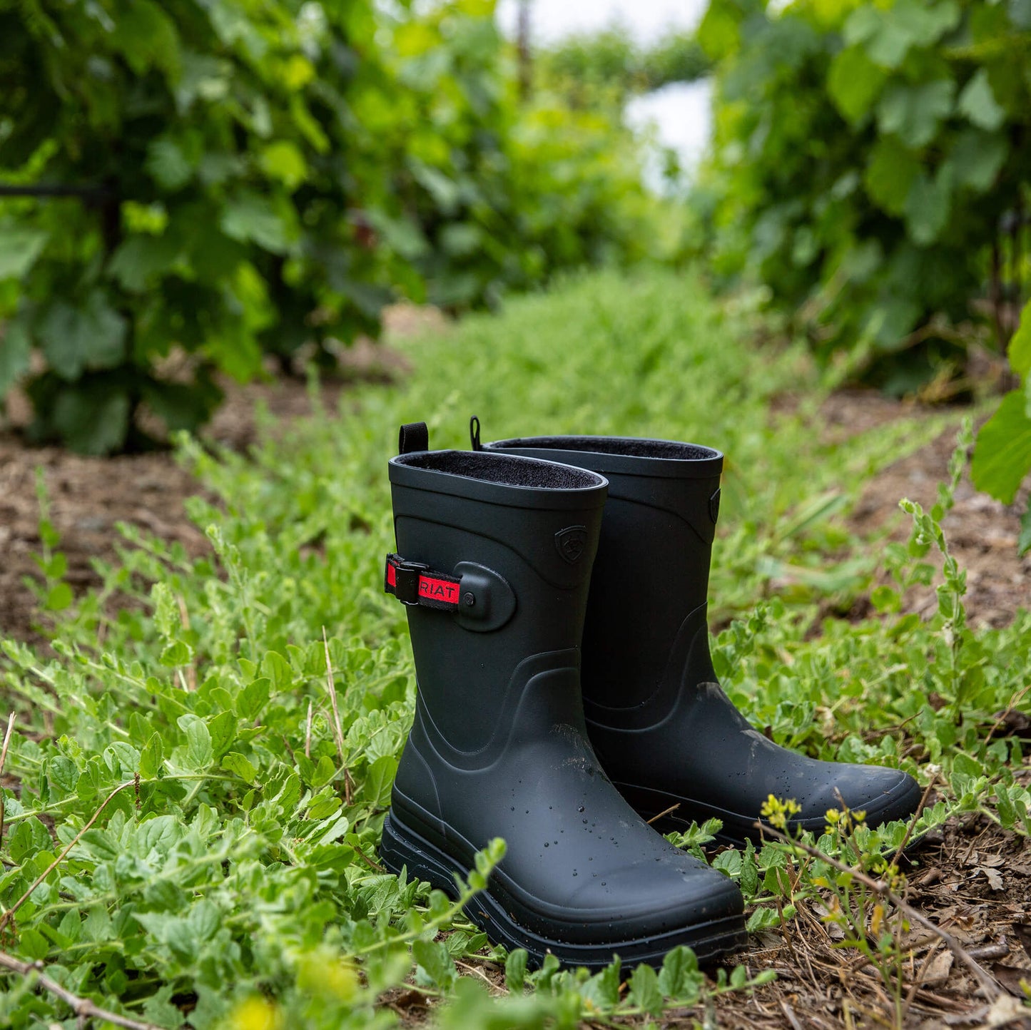Ariat Online - Kelmarsh Mid Rubber Boot