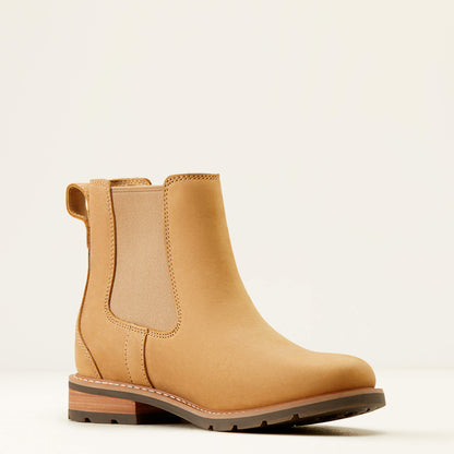 Ariat Outlet - Wexford Chelsea Boot