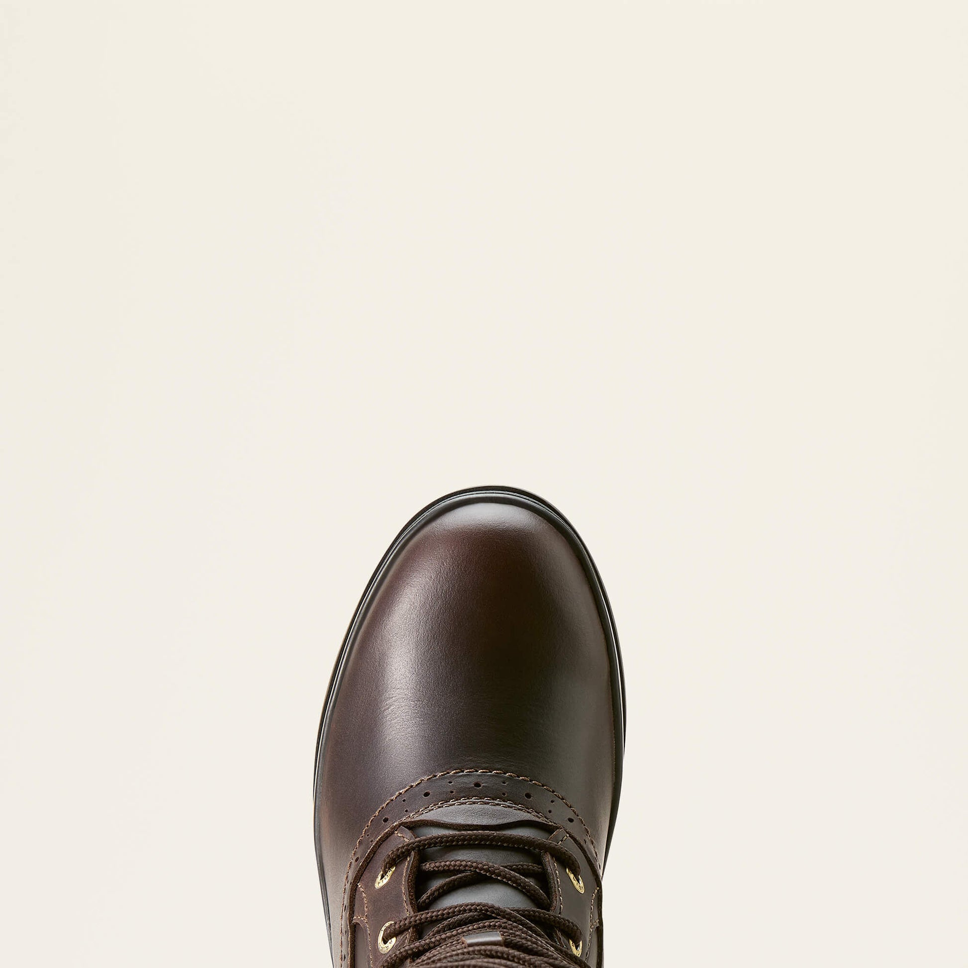 Ariat Website Store - Wythburn II Sherpa Waterproof Boot
