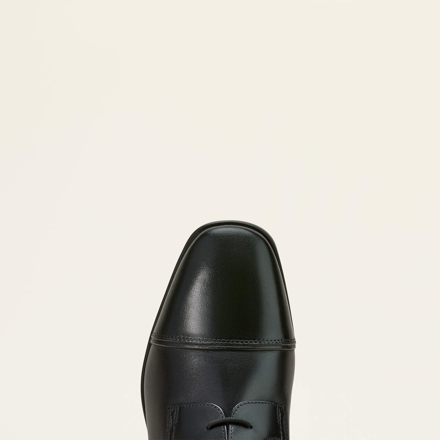 Ariat Online - Palisade Field Tall Riding Boot