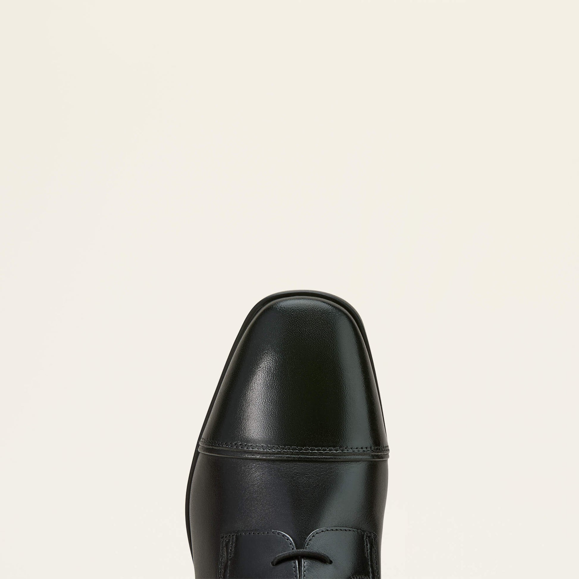 Ariat Online - Palisade Field Tall Riding Boot