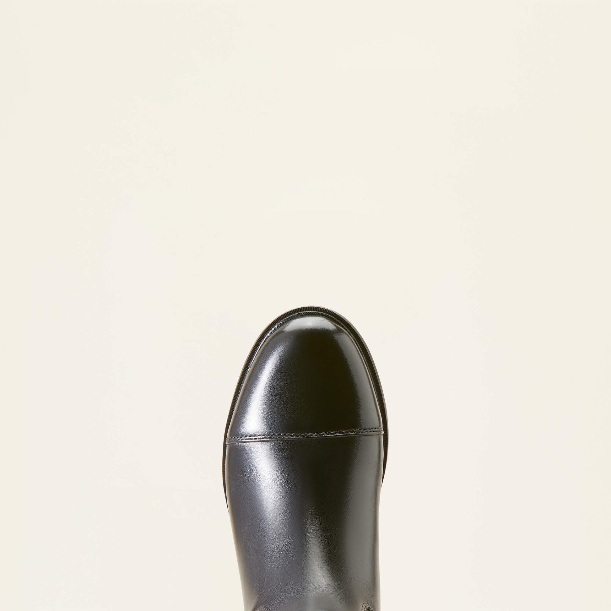Ariat Online Shop - Devon Tall Riding Boot