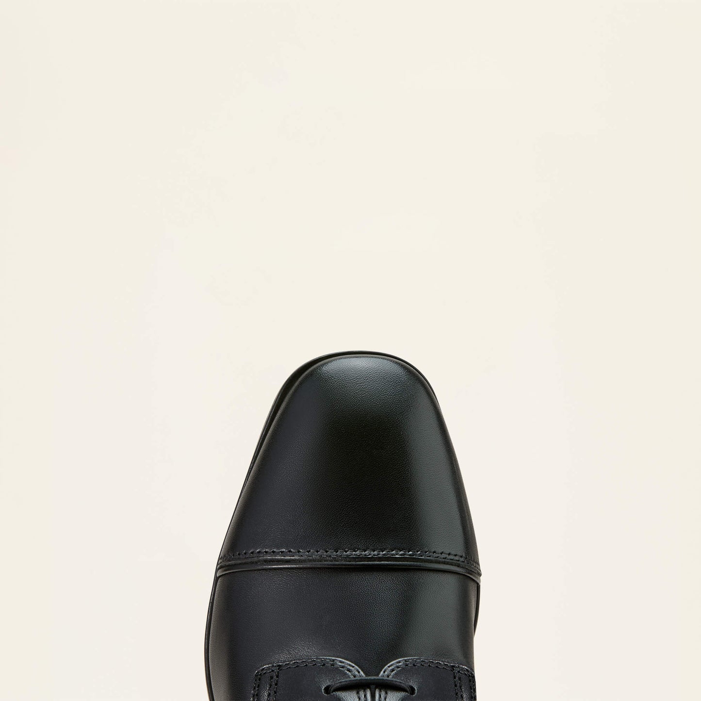 Ariat US - Palisade Lace Tall Riding Boot