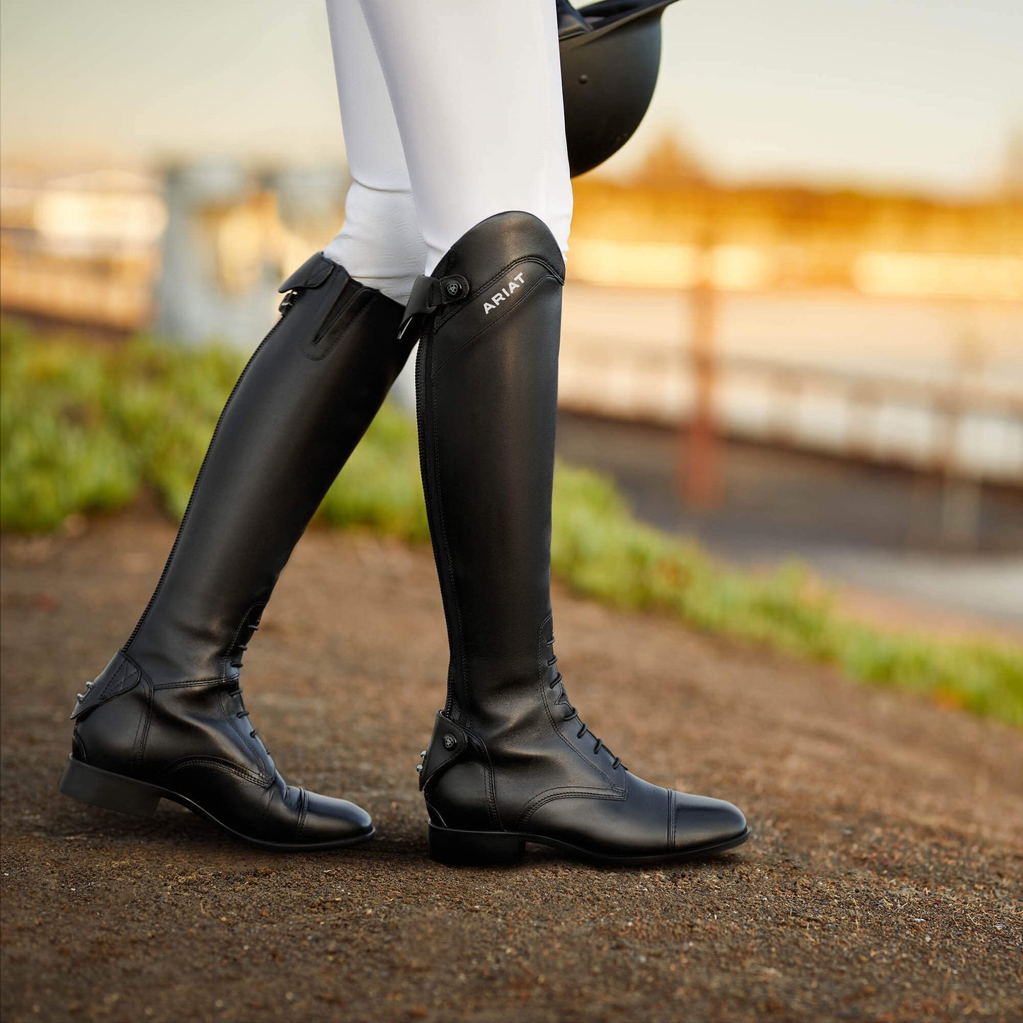 Ariat Online Shop - Palisade Tall Riding Boot
