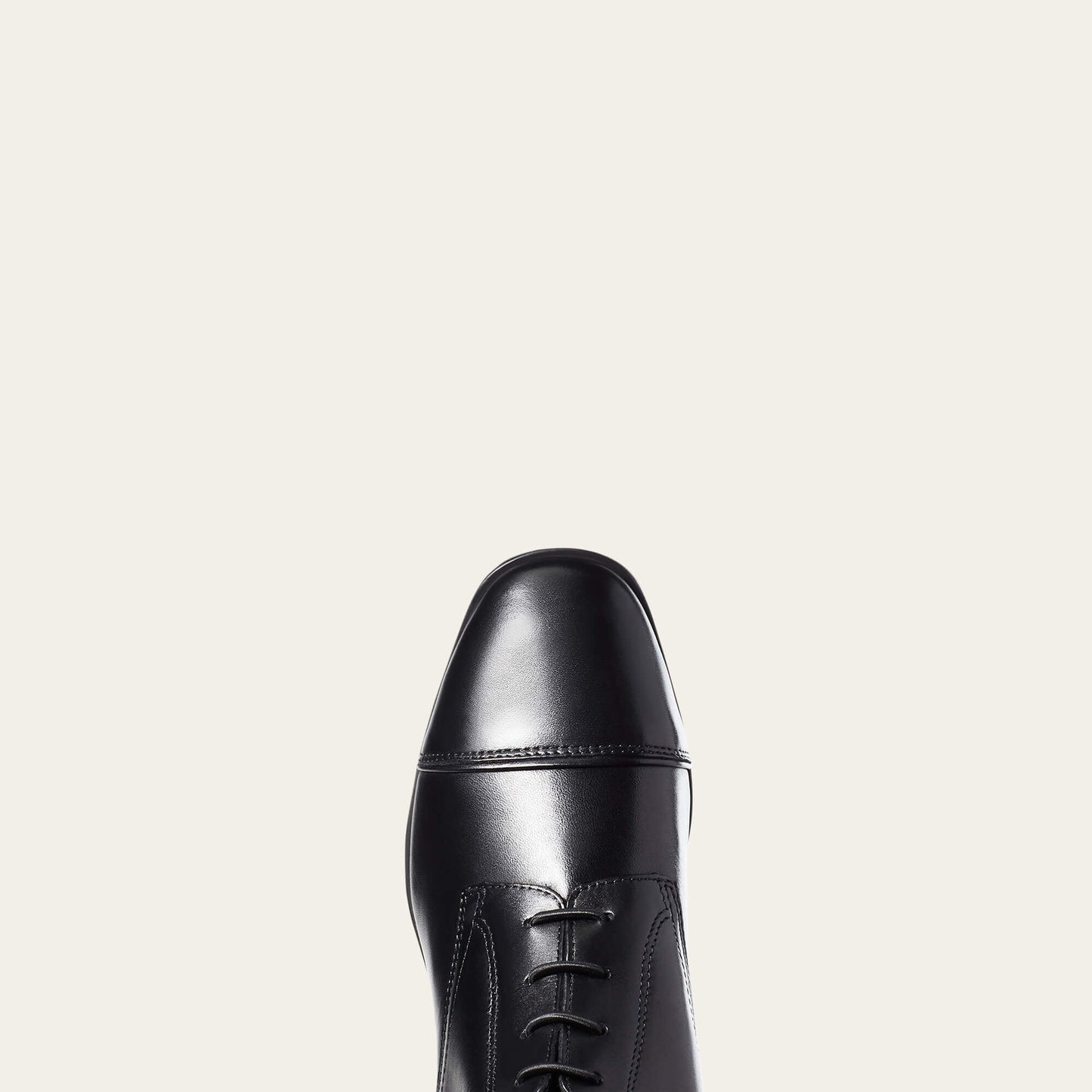 Ariat Online Shop - Palisade Tall Riding Boot