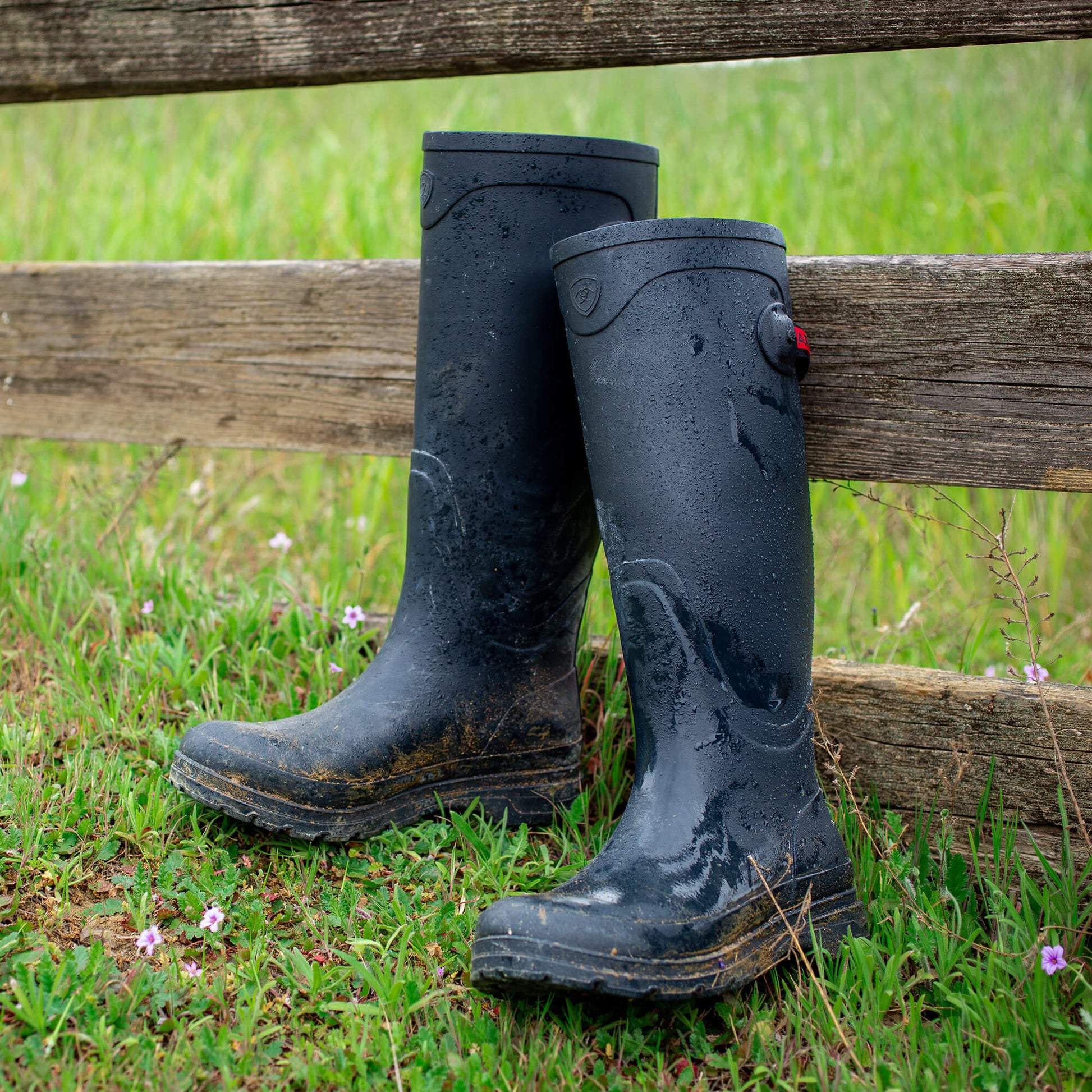 Ariat For Sale - Kelmarsh Rubber Boot
