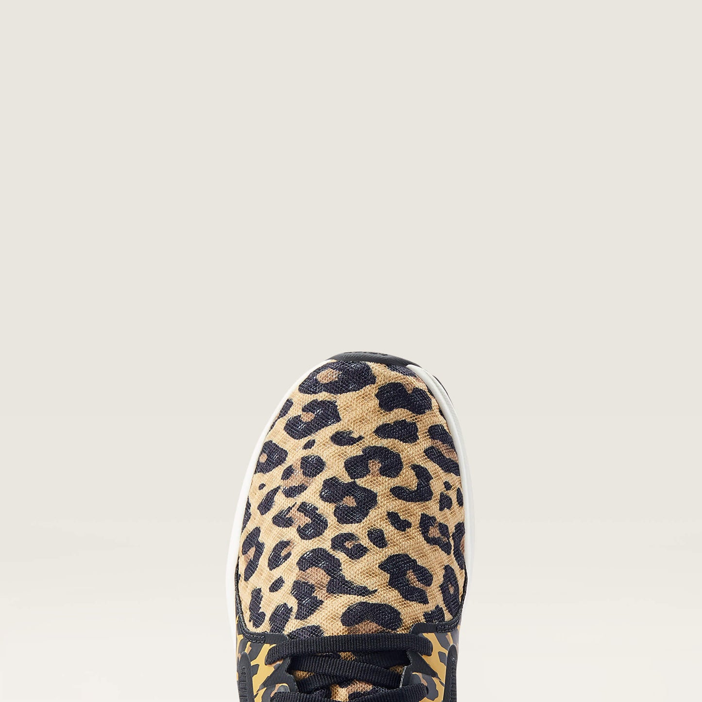 Ariat Website Store - Fuse