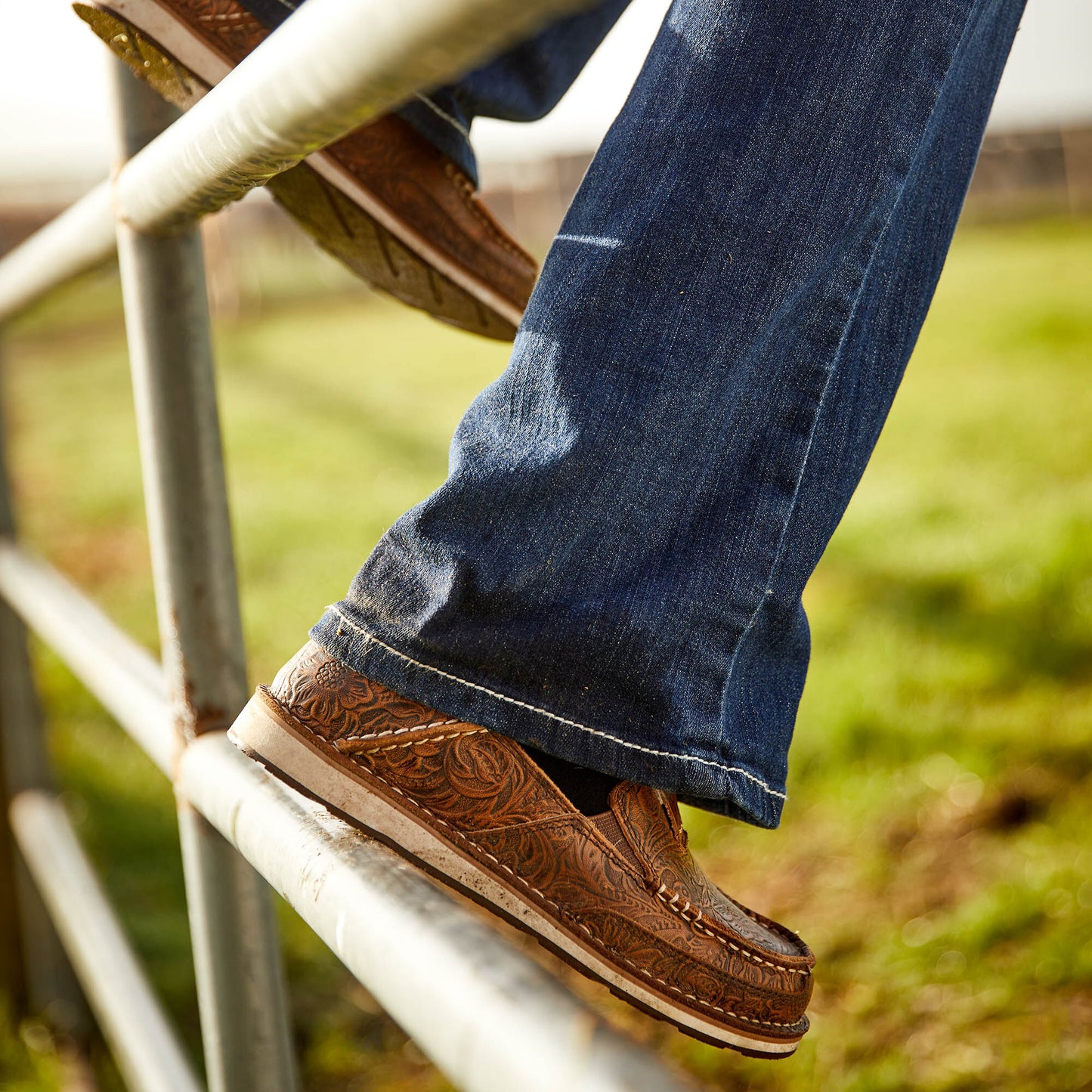 Ariat Sale - Cruiser
